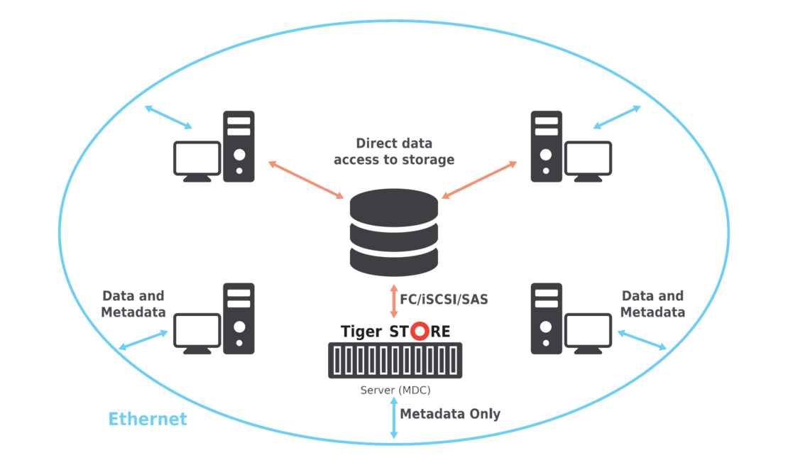 Tiger Store Tiger Store