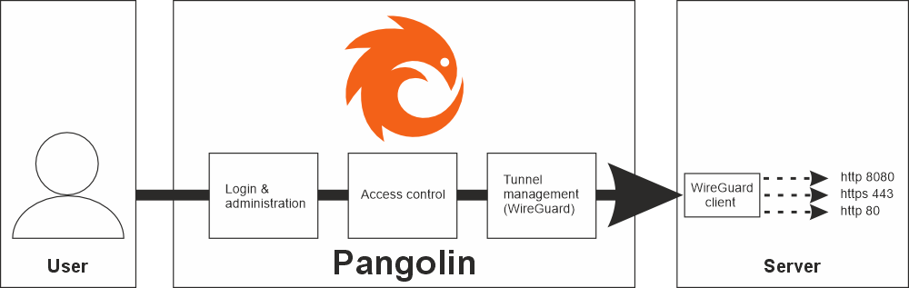 Pangolin simplified block diagram Pangolin simplified block diagram