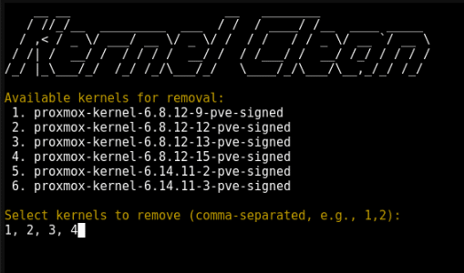 Kernel Clean Shell Screenshot