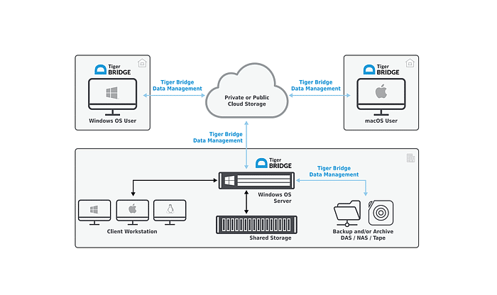 Tiger Bridge Data Management Tax